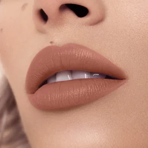 BEAUTY CREATIONS TEASE ME SOFT MATTE LIPSTICK (SHADE DIRTY THOUGHTS)